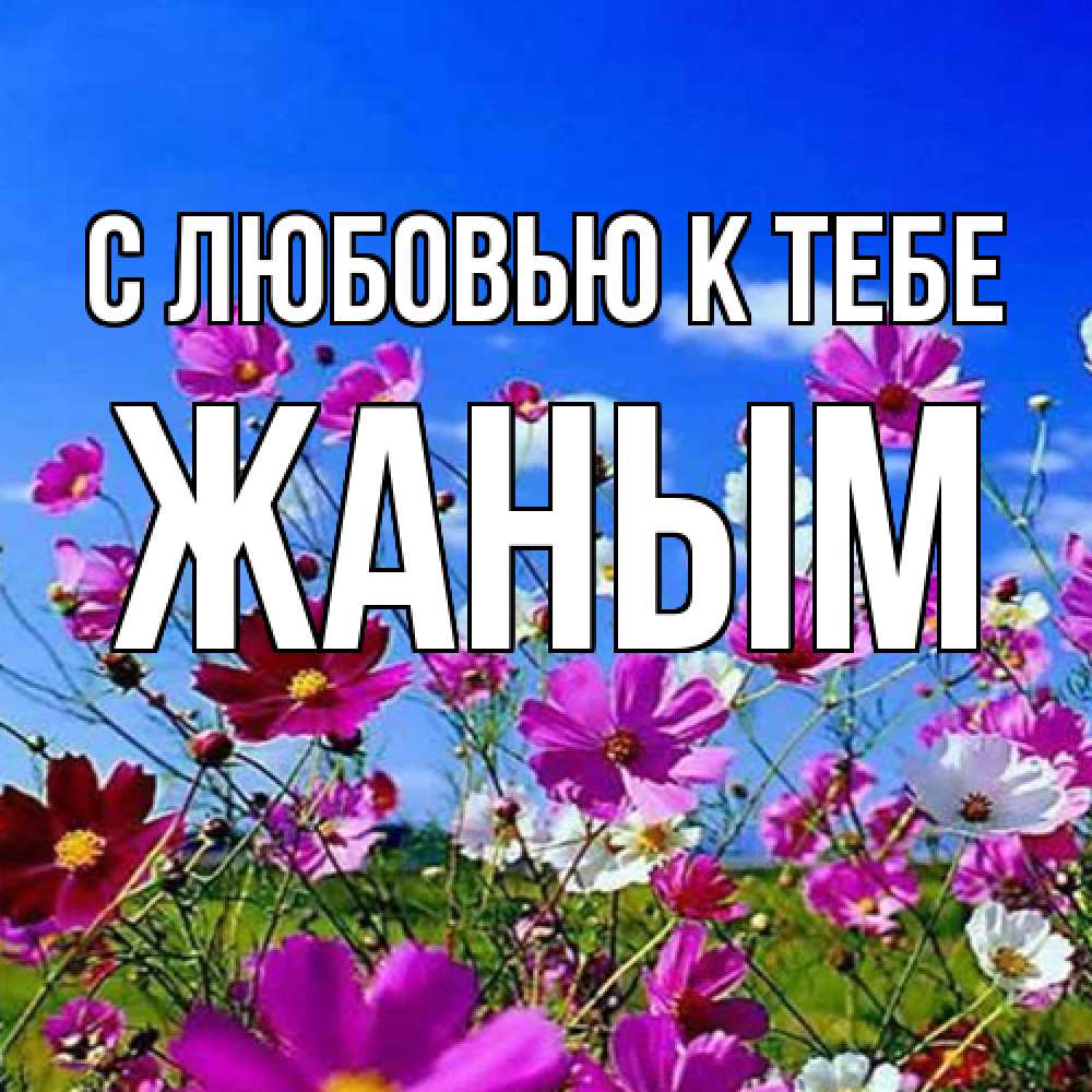 Открытка  с именем. Жаным, С любовью к тебе  