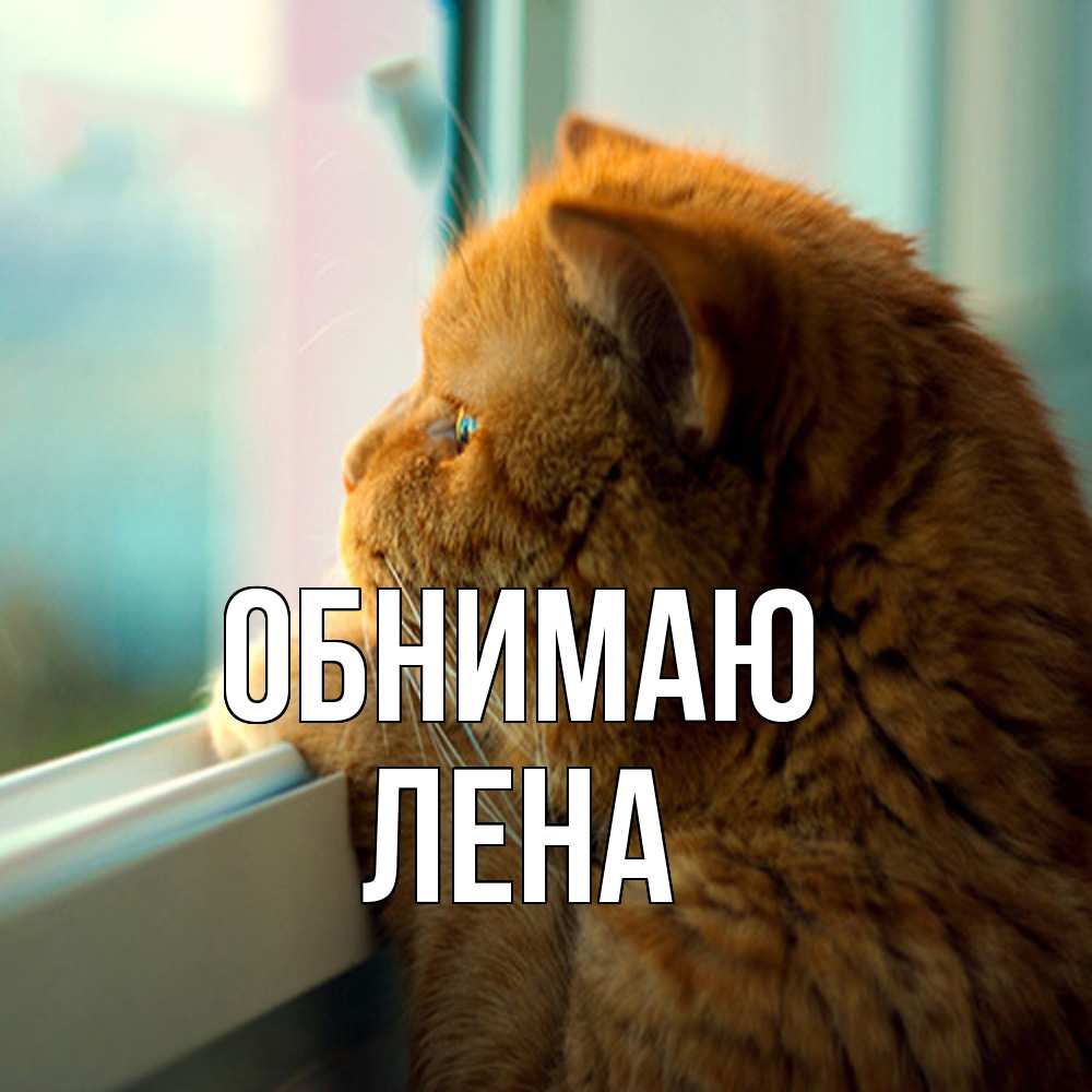 Открытка  с именем. Лена, Обнимаю  