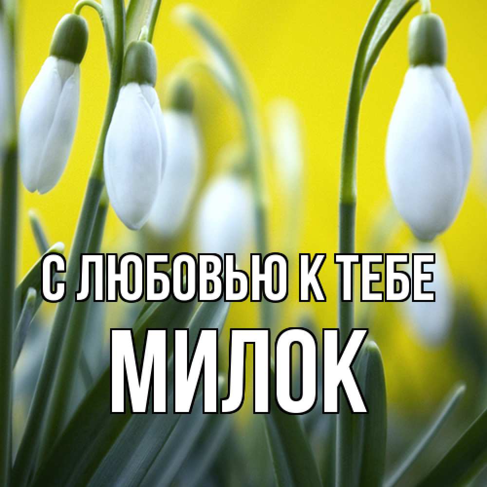 Открытка  с именем. Милок, С любовью к тебе  