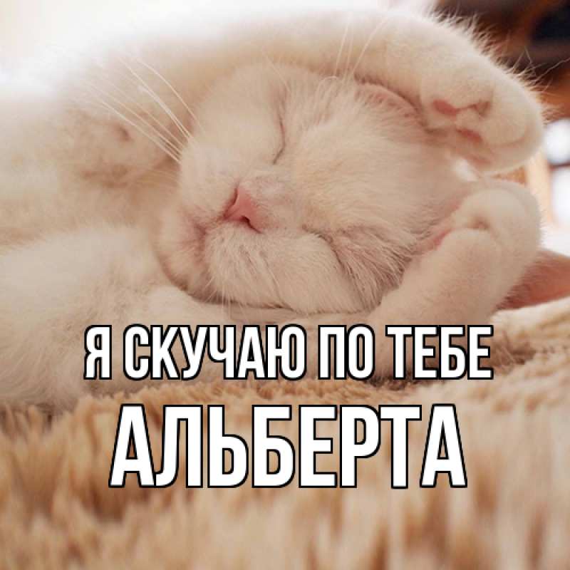 Картинка Я скучаю по тебе, Альберта