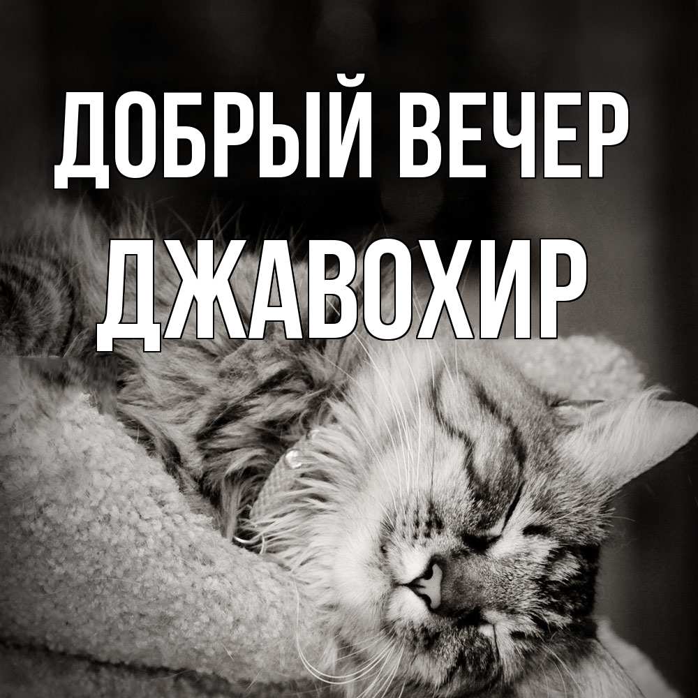 Открытка  с именем. Джавохир, Добрый вечер  
