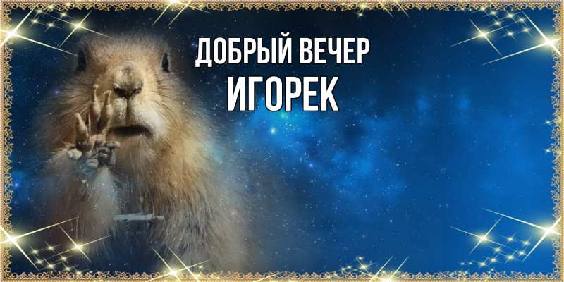 Открытка с именем, Игорек, Добрый вечер