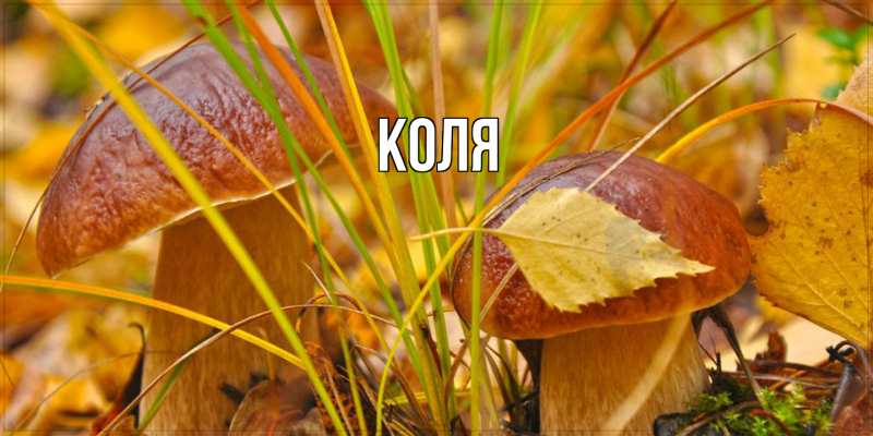 Картинка  с именем , коля