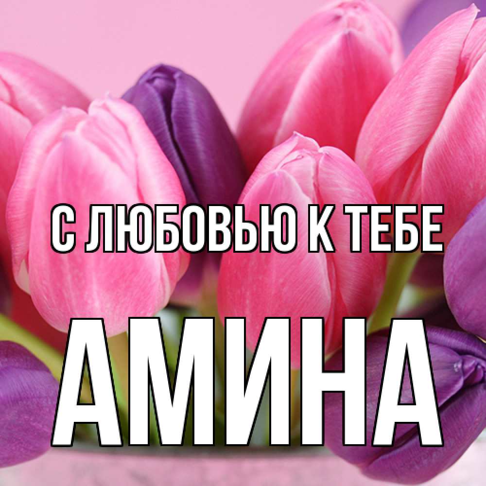 Открытка  с именем. Амина, С любовью к тебе  