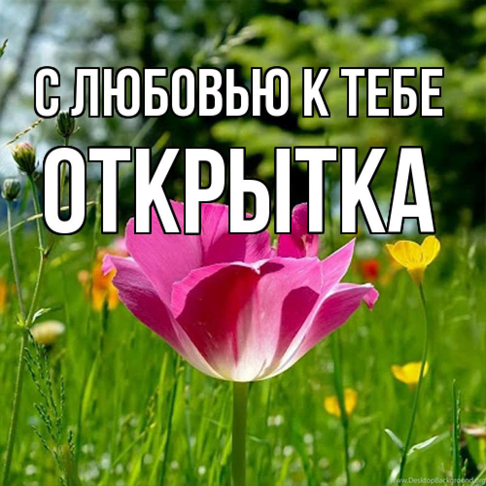 Открытка  с именем. открытка, С любовью к тебе  