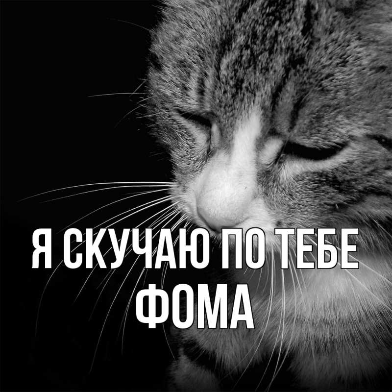 Картинка Я скучаю по тебе, Фома