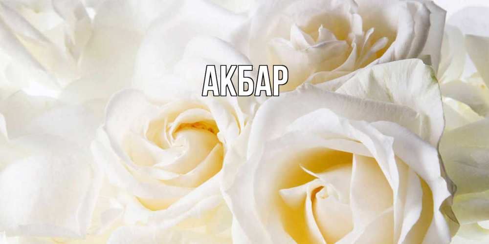 Открытка  с именем. Акбар, Главная  