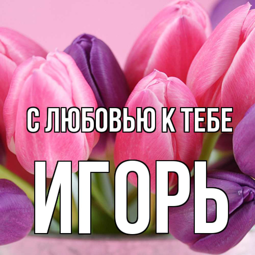 Открытка  с именем. Игорь, С любовью к тебе  