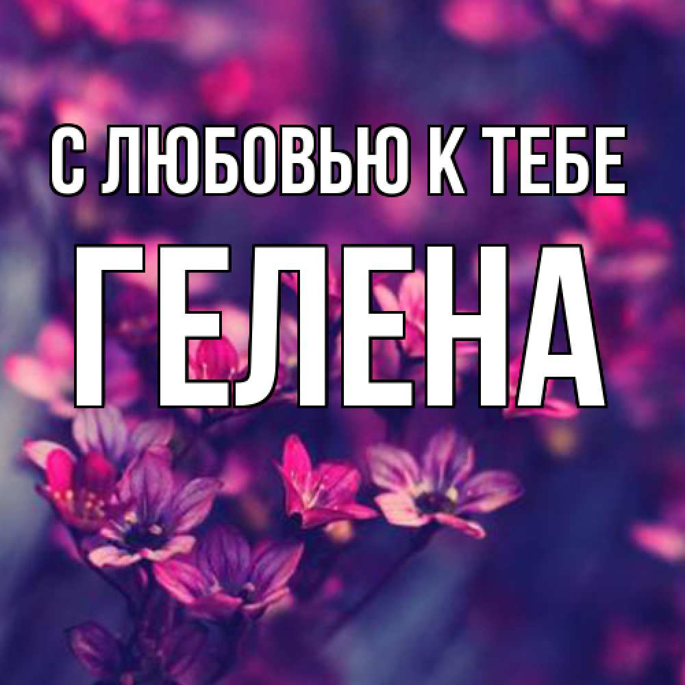 Открытка  с именем. Гелена, С любовью к тебе  