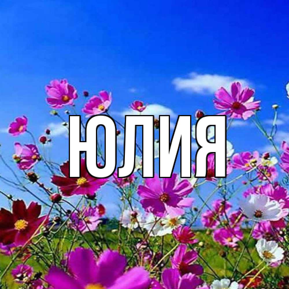 Открытка  с именем. Юлия, Главная  