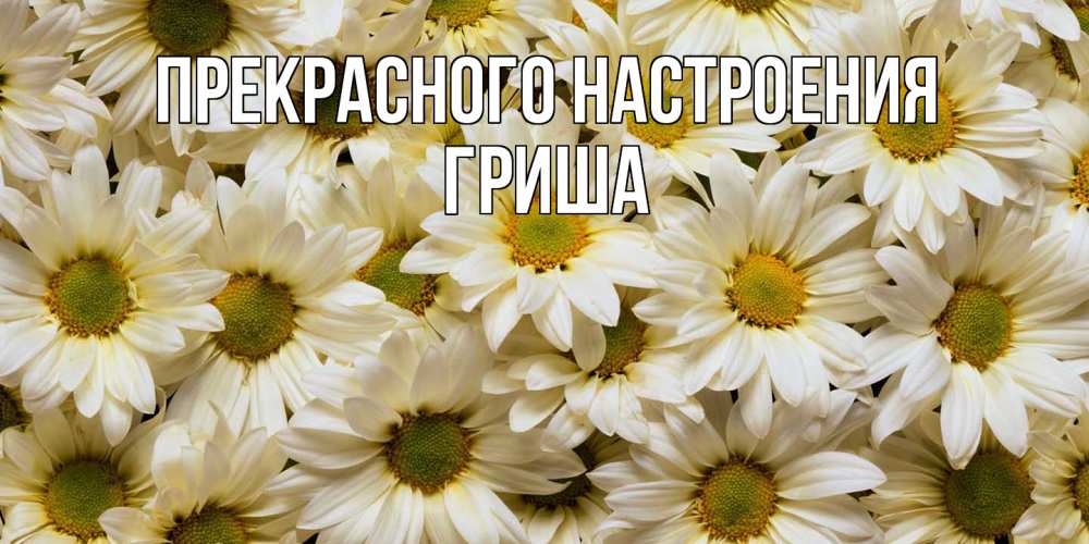 Открытка  с именем. Гриша, Прекрасного настроения  