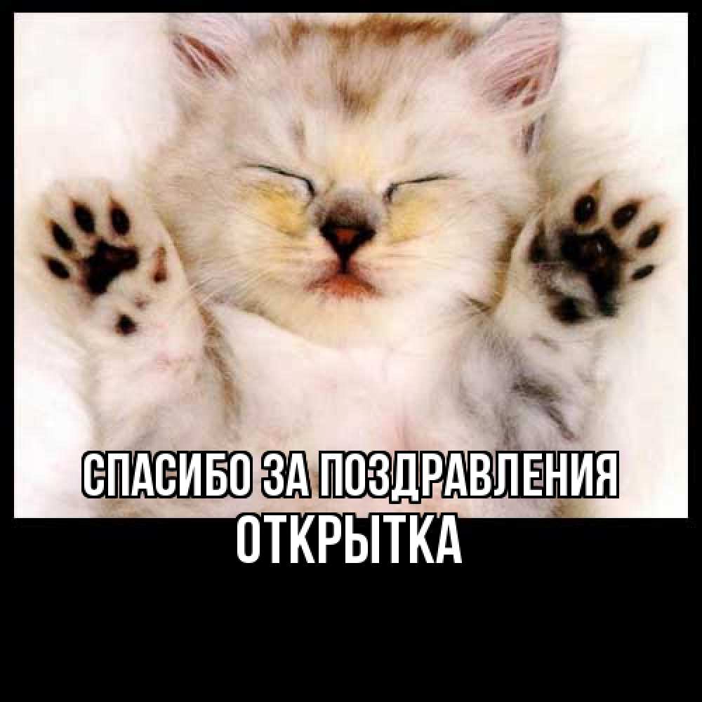 Открытка  с именем. открытка, Спасибо за поздравления  