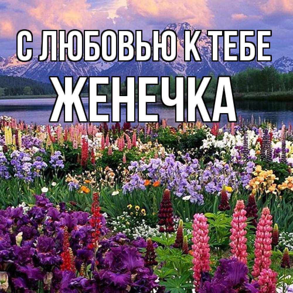Открытка  с именем. Женечка, С любовью к тебе  