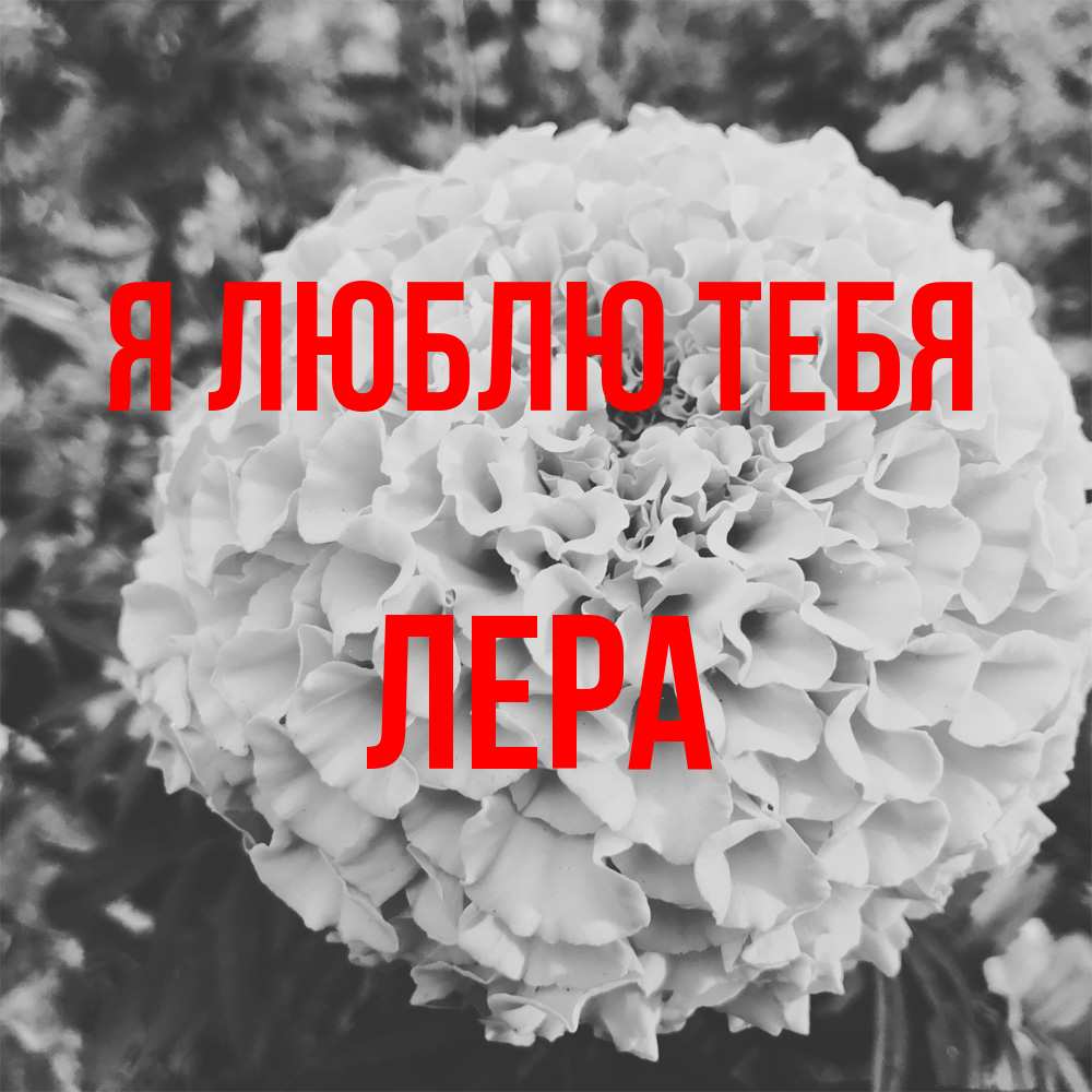 Открытка  с именем. Лера, Я люблю тебя  