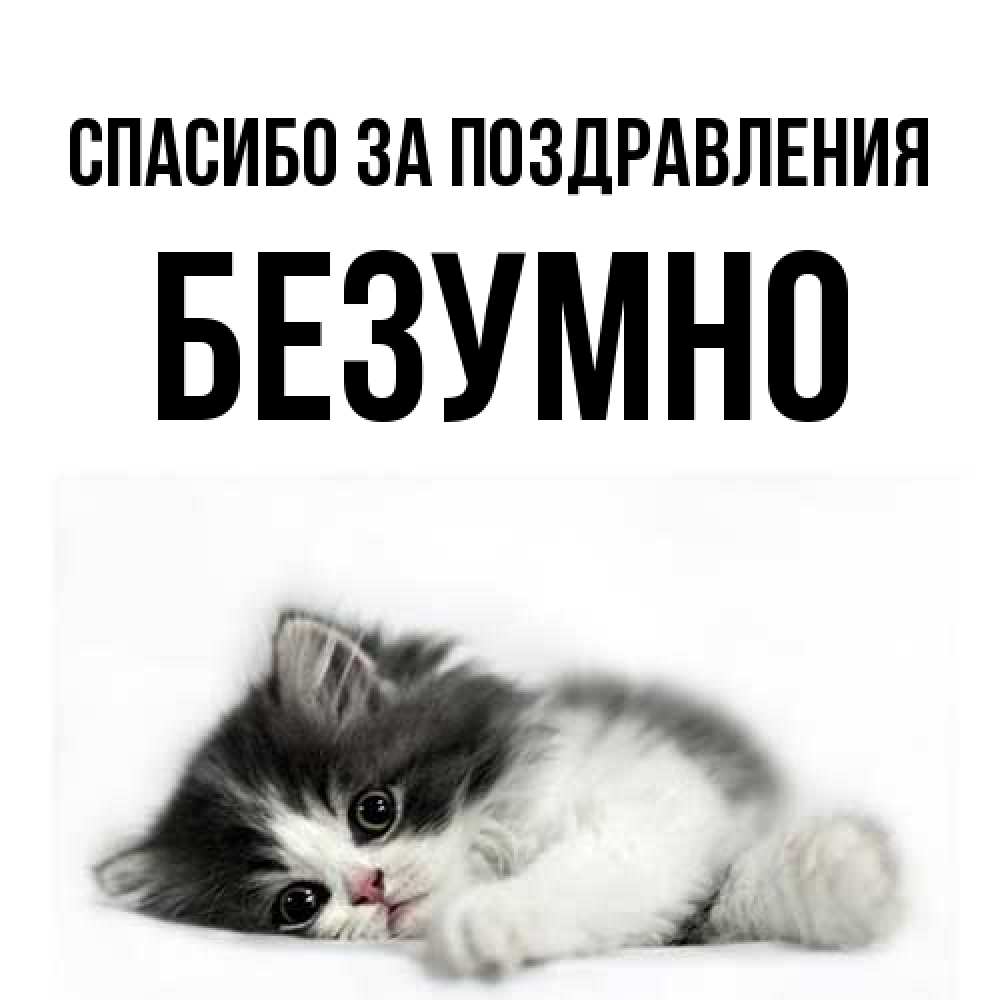 Открытка  с именем. безумно, Спасибо за поздравления  