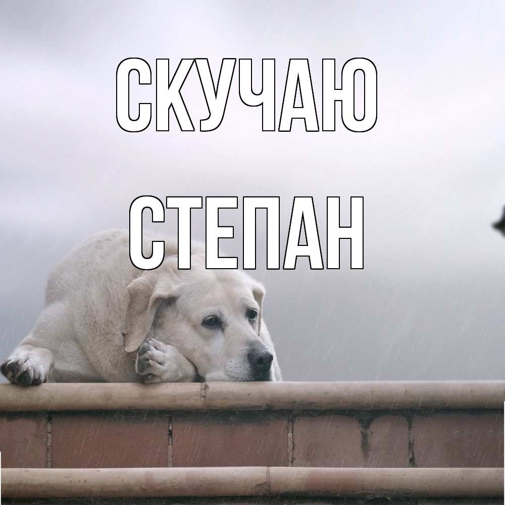 Открытка  с именем. Степан, Скучаю  