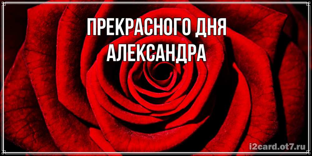 Открытка  с именем. Александра, Прекрасного дня  