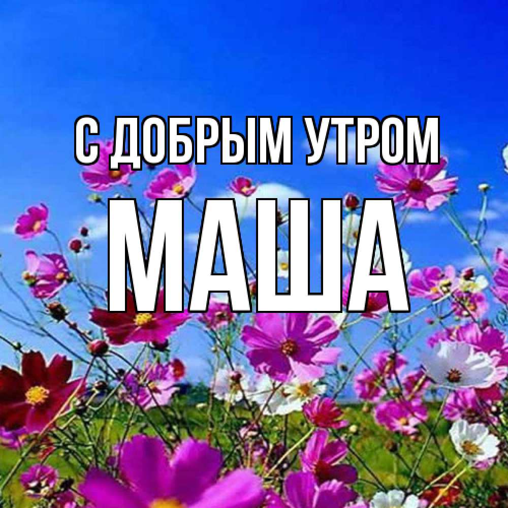 Открытка  с именем. Маша, С добрым утром  
