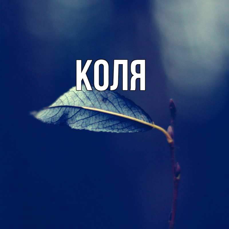 Картинка  с именем , коля