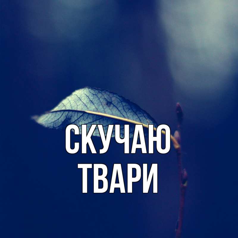 Картинка Скучаю, твари