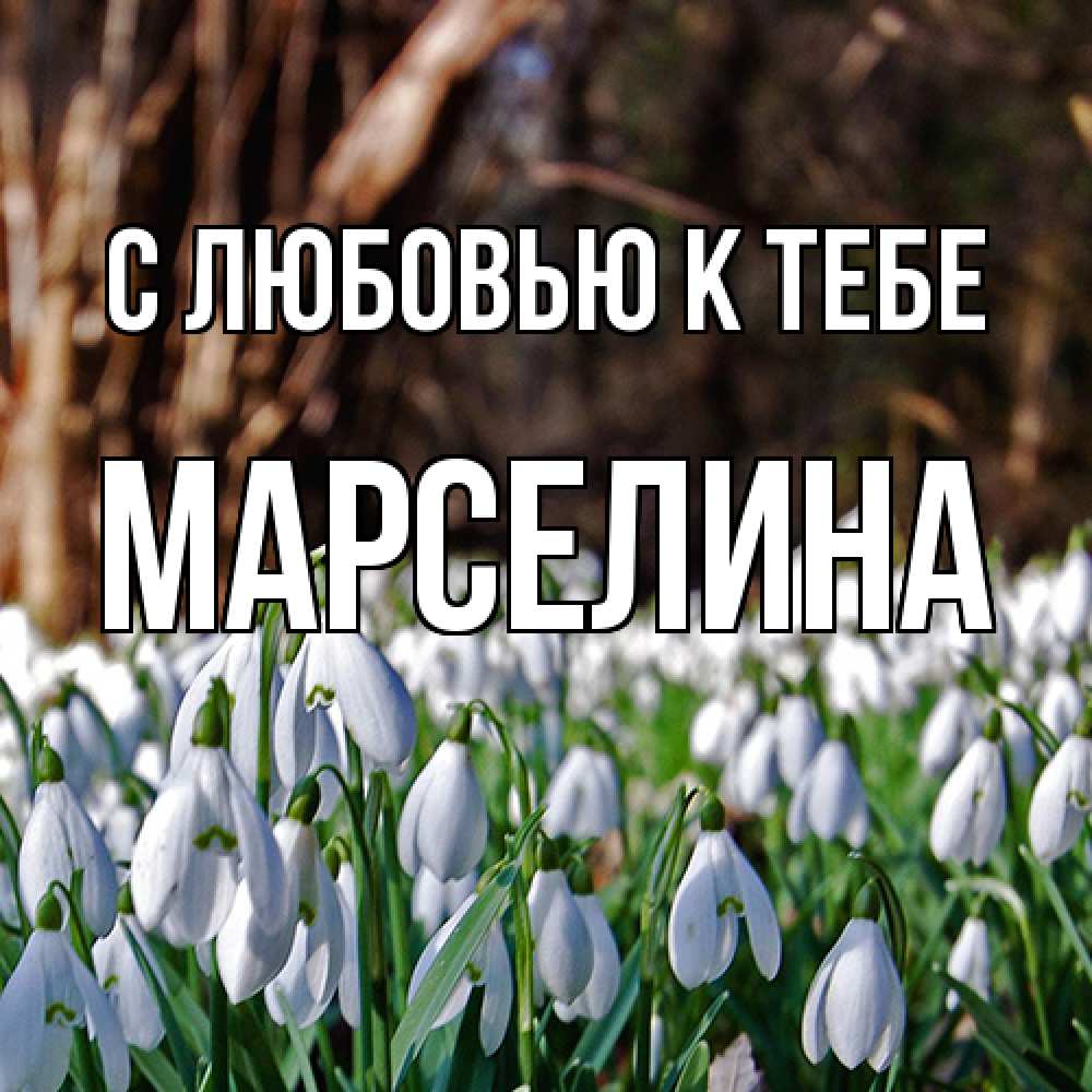 Открытка  с именем. Марселина, С любовью к тебе  