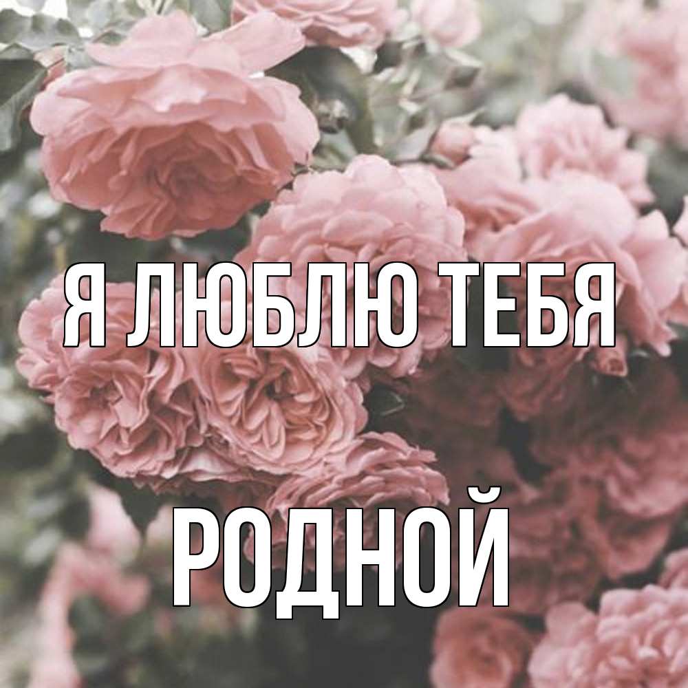 Открытка  с именем. Родной, Я люблю тебя  