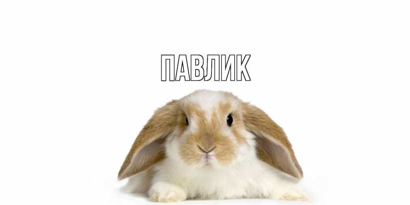 Картинка  с именем , Павлик