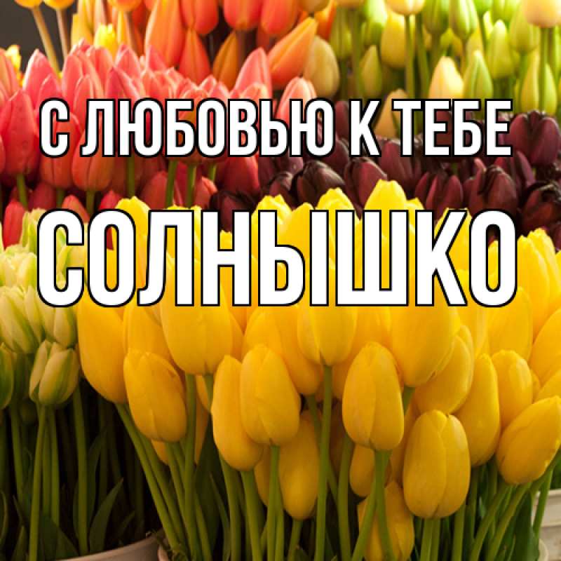 Картинка С любовью к тебе, Солнышко