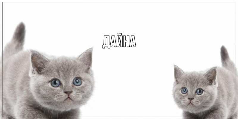 Картинка  с именем , Дайна