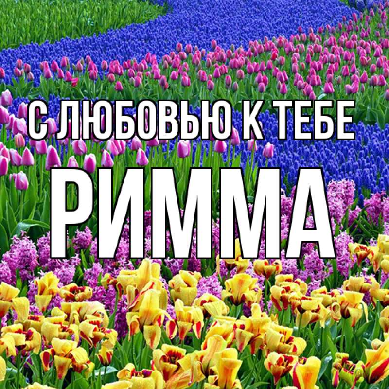 Картинка С любовью к тебе, Римма