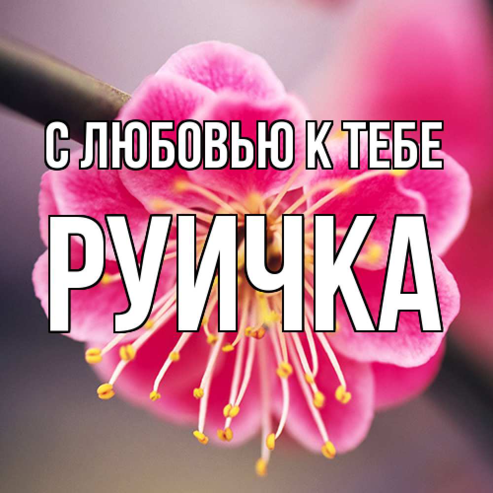 Открытка  с именем. Руичка, С любовью к тебе  