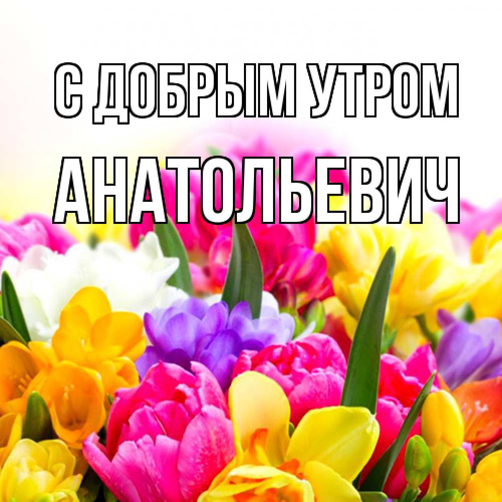 Открытка  с именем. Анатольевич, С добрым утром  