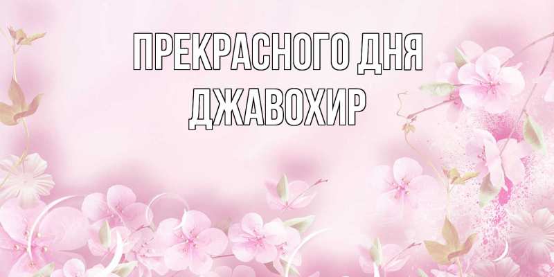 Картинка Прекрасного дня, Джавохир