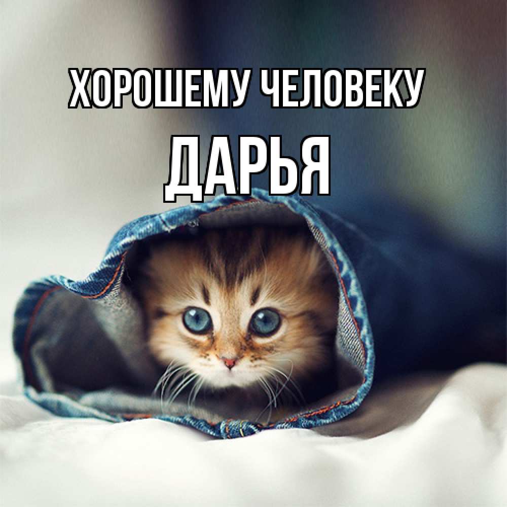 Открытка  с именем. Дарья, Хорошему человеку  