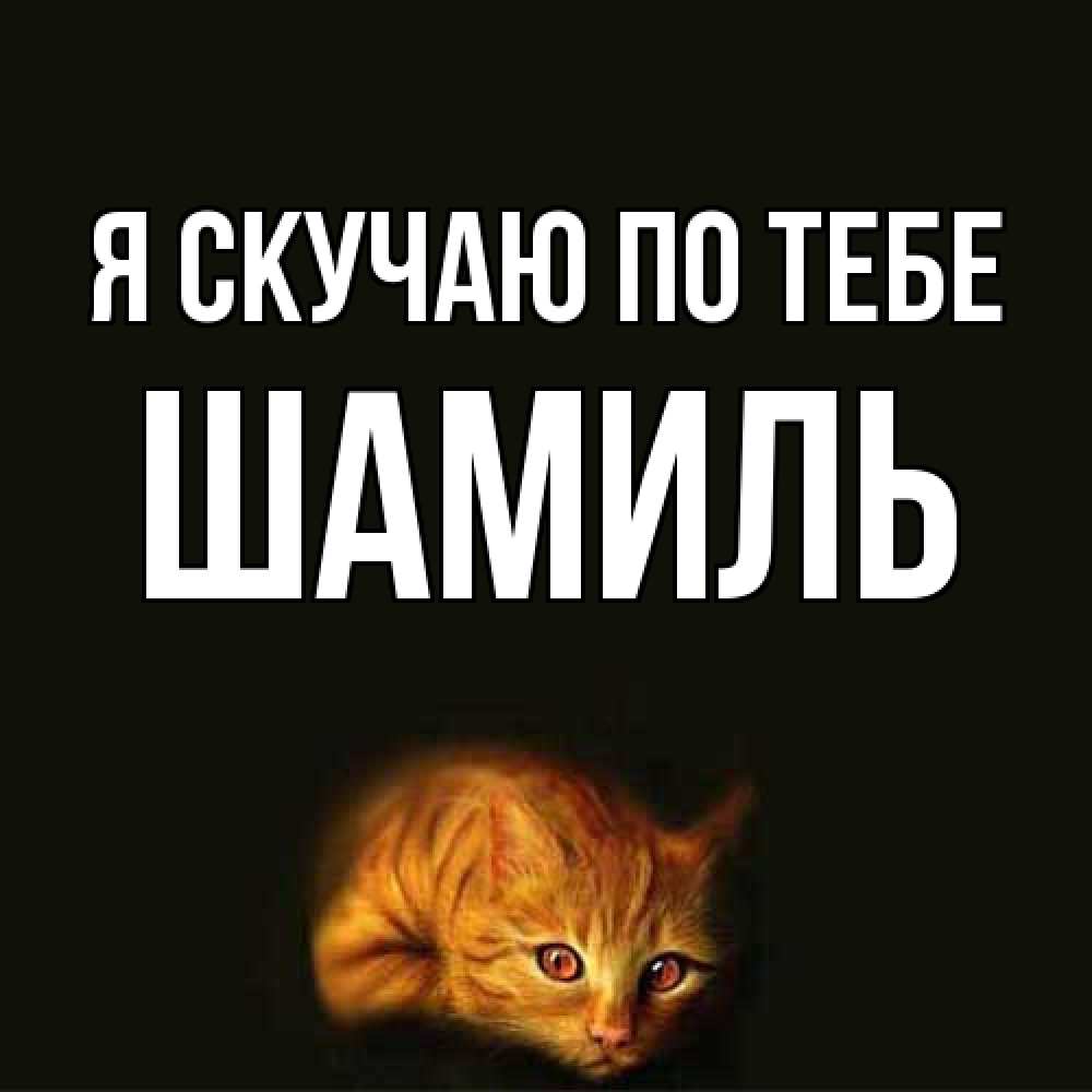 Открытка  с именем. Шамиль, Я скучаю по тебе  