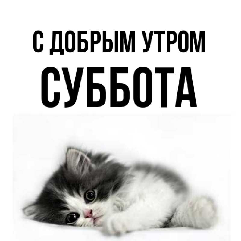 Картинка С добрым утром, Суббота