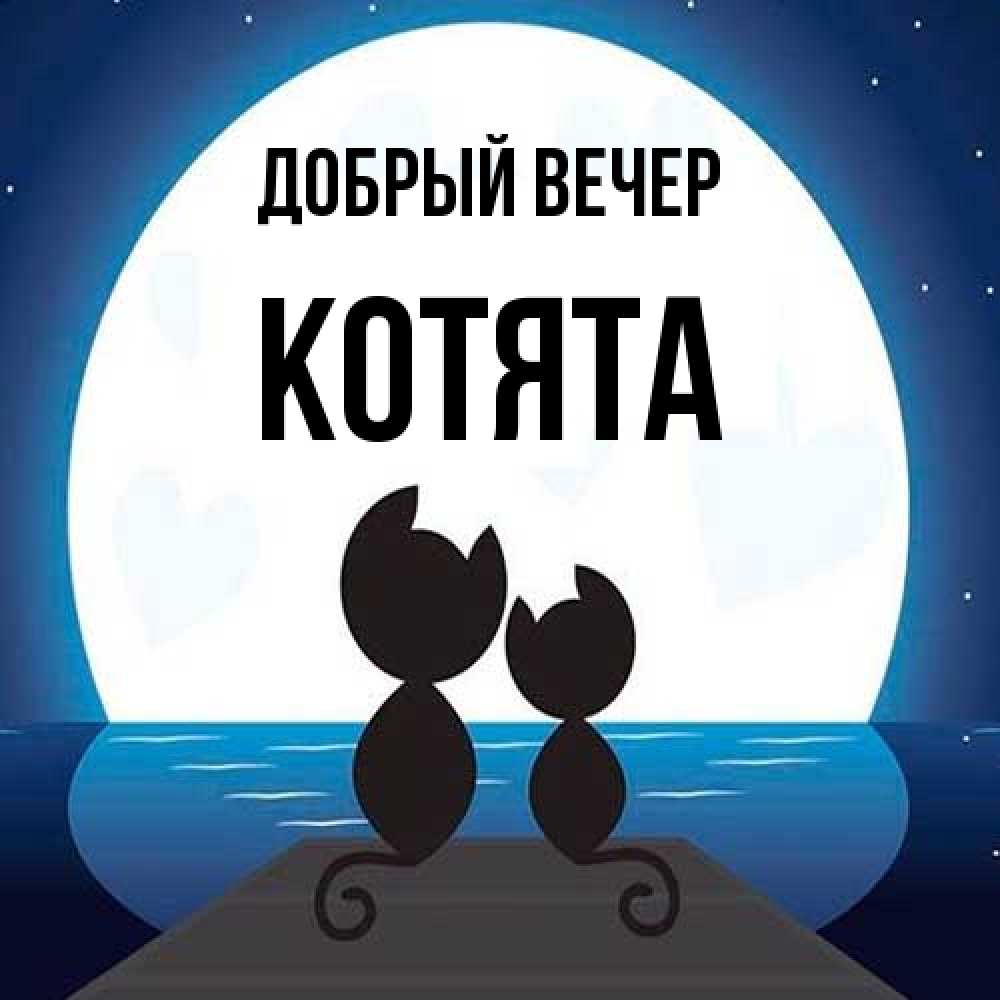 Открытка  с именем. Котята, Добрый вечер  