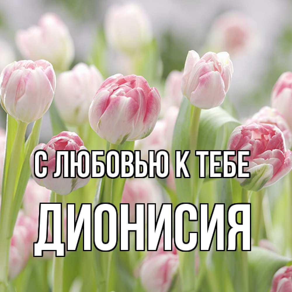 Открытка  с именем. Дионисия, С любовью к тебе  