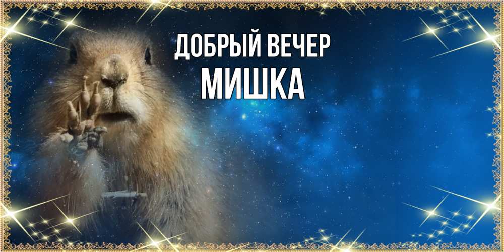 Открытка  с именем. Мишка, Добрый вечер  