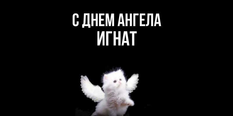 Картинка С днем ангела, Игнат