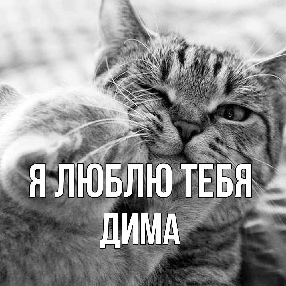 Открытка  с именем. Дима, Я люблю тебя  