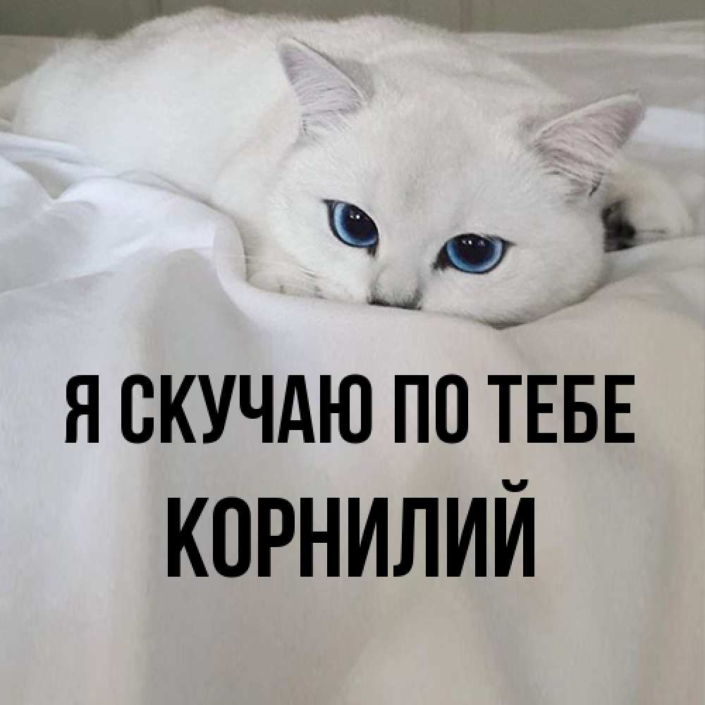 Открытка  с именем. Корнилий, Я скучаю по тебе  