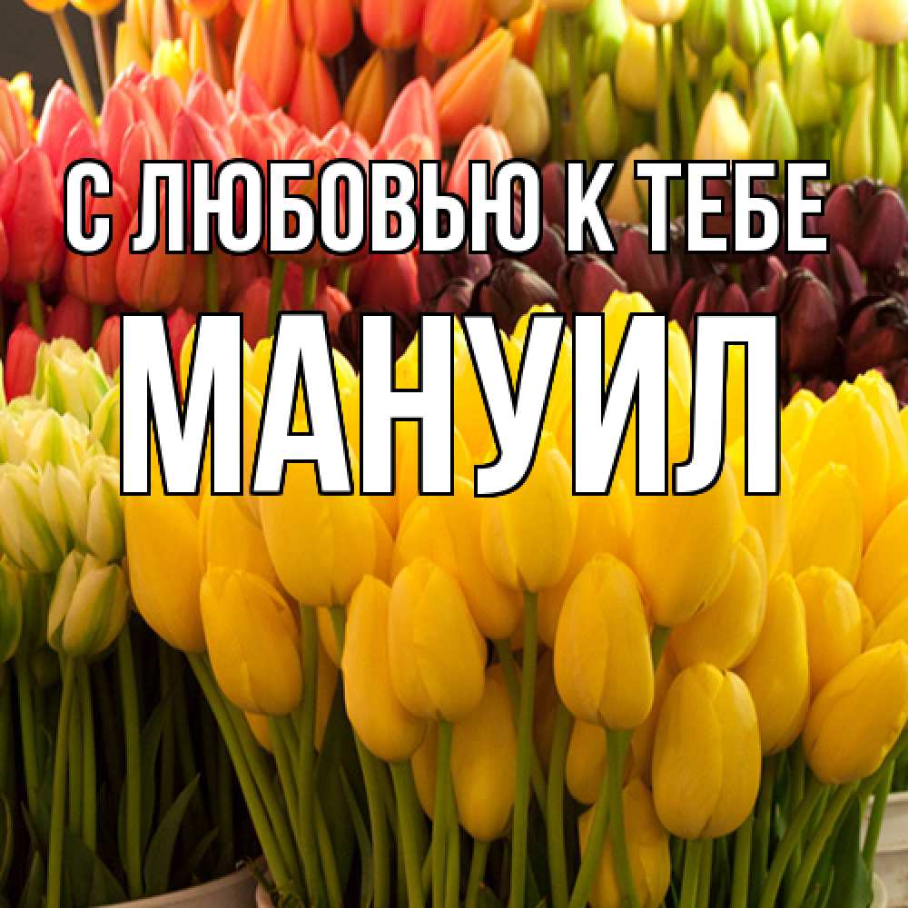 Открытка  с именем. Мануил, С любовью к тебе  