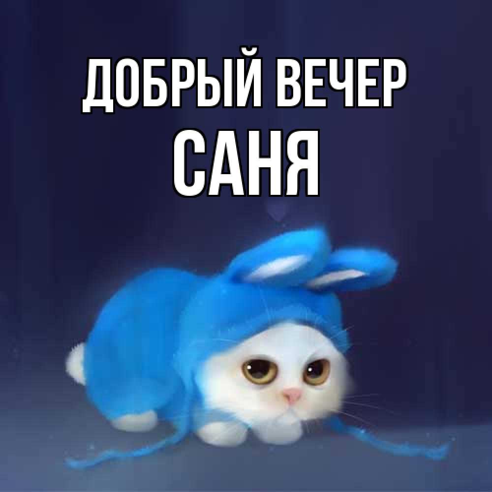 Открытка  с именем. Саня, Добрый вечер  