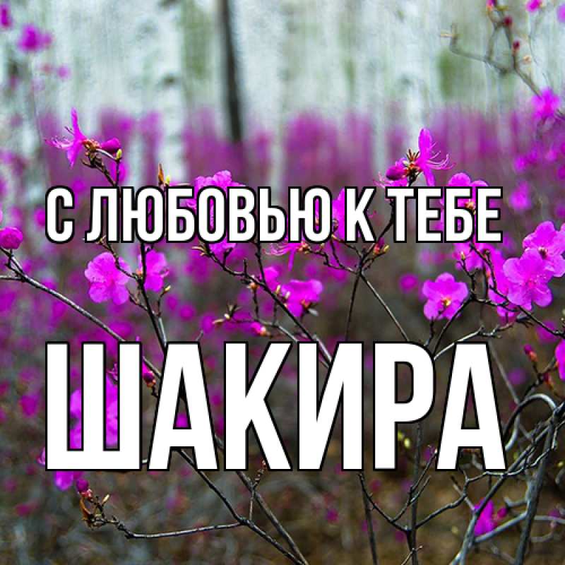 Картинка С любовью к тебе, Шакира