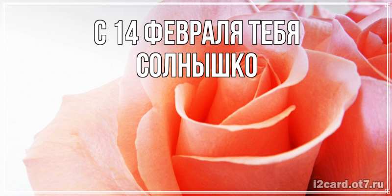Картинка С 14 февраля тебя, Солнышко