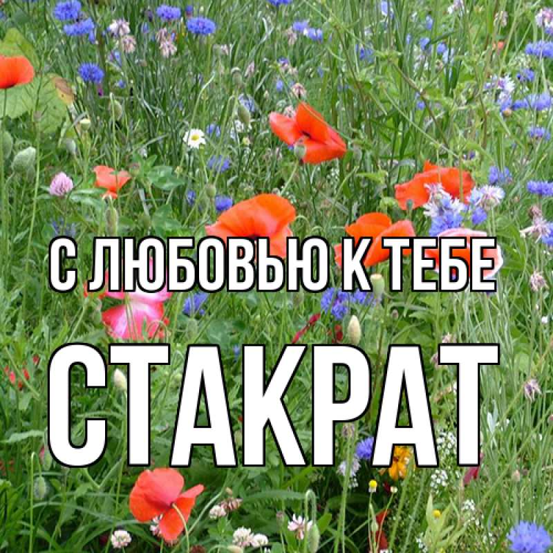 Картинка С любовью к тебе, Стакрат