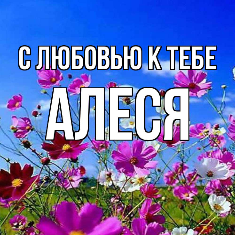 Открытка  с именем. Алеся, С любовью к тебе  