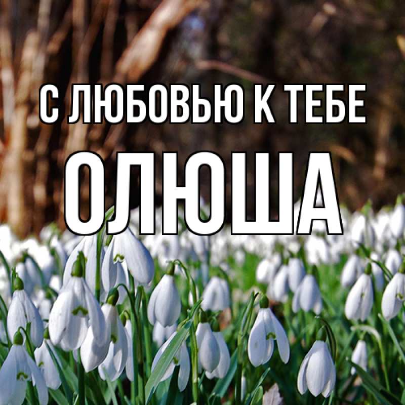 Картинка С любовью к тебе, Олюша