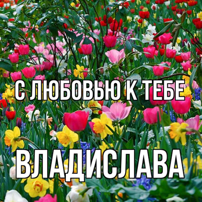 Картинка С любовью к тебе, Владислава